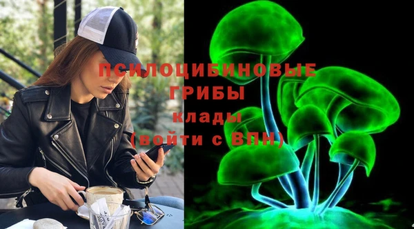 дживик Белоозёрский