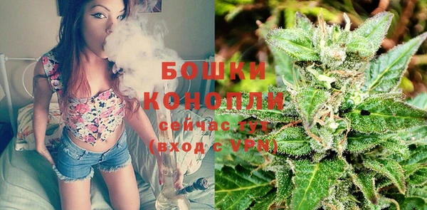 дживик Белоозёрский