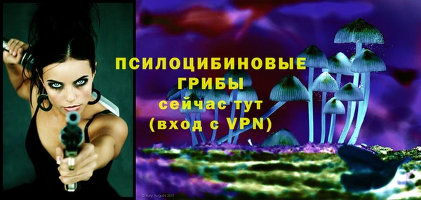 spice Белокуриха